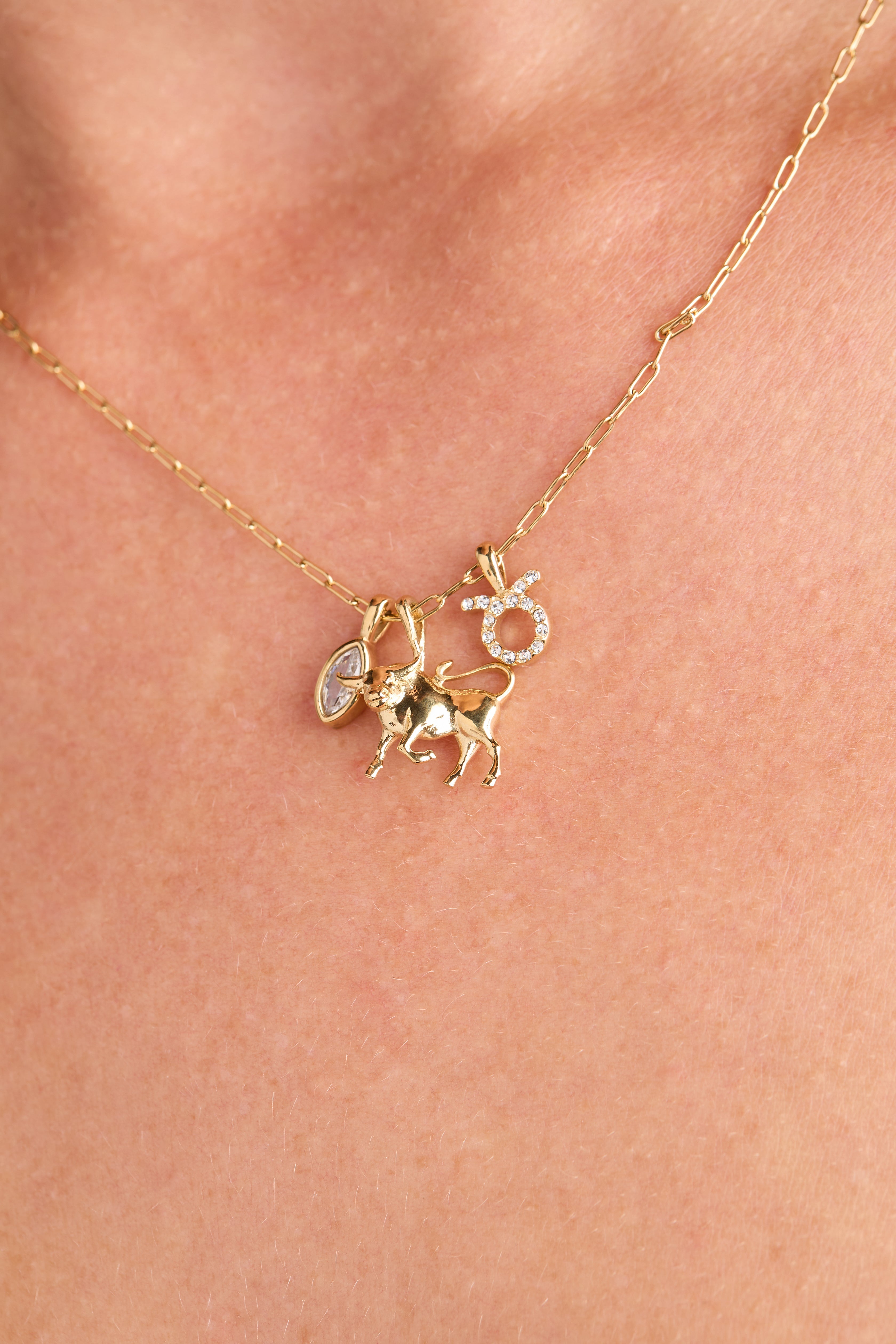 Taurus Zodiac Charm Cluster Necklace