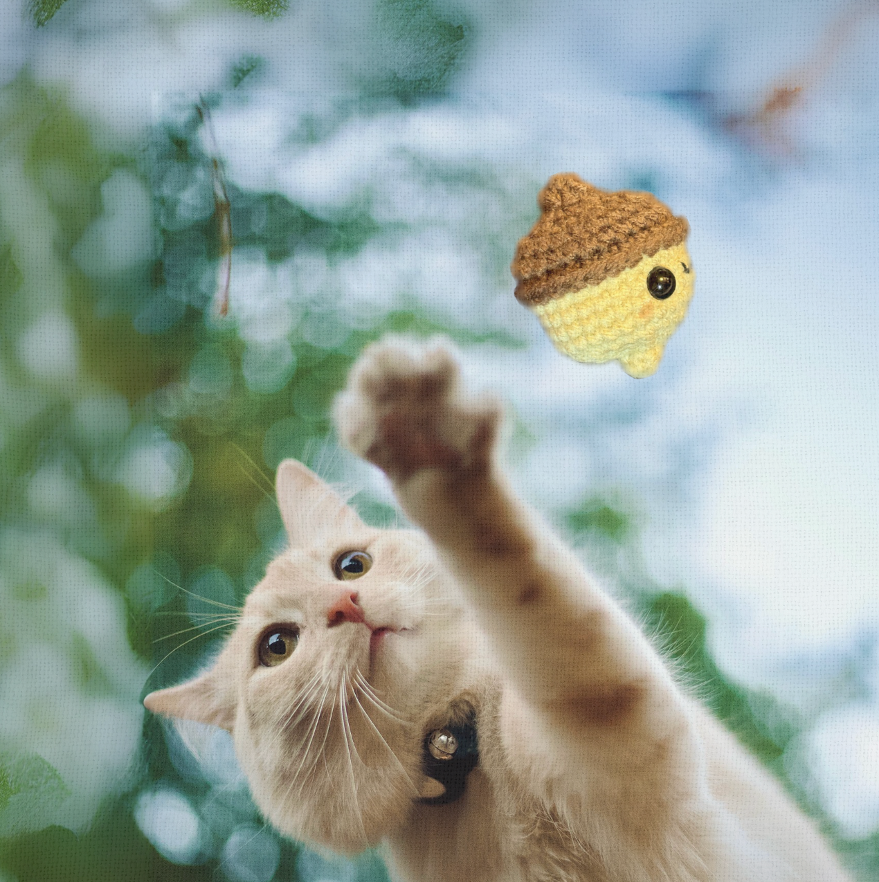 augie the acorn | weighted cat toy