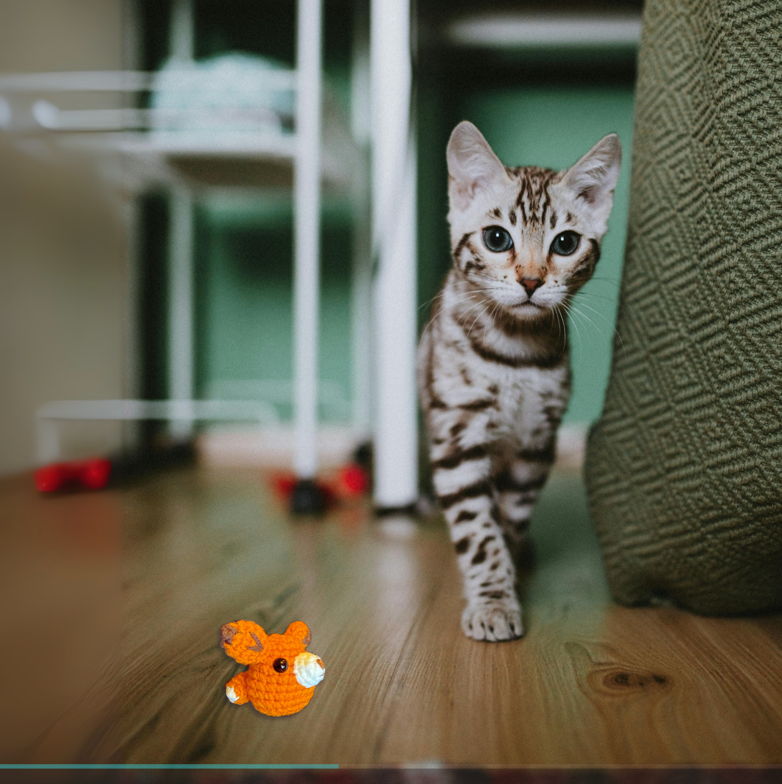 TJ the fox | weighted cat toy