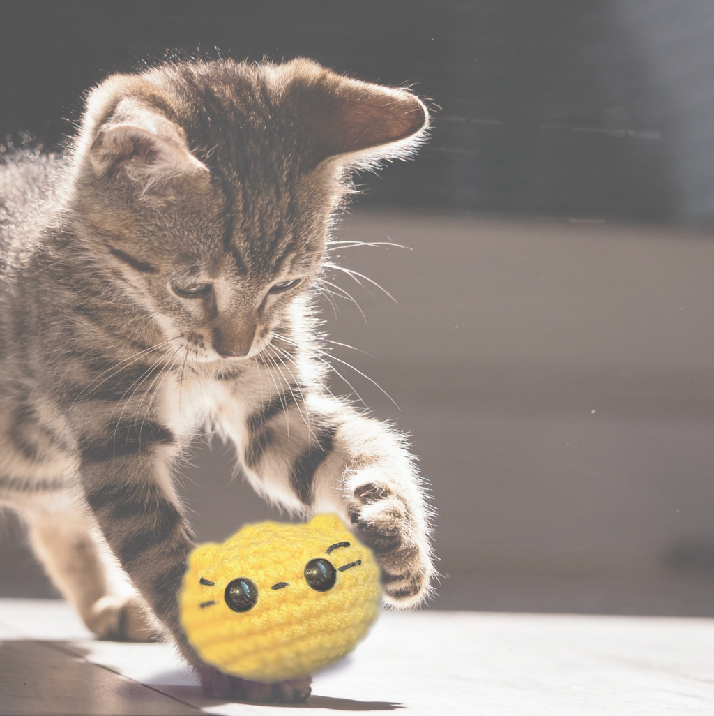 Pippa the chonk | weighted cat toy